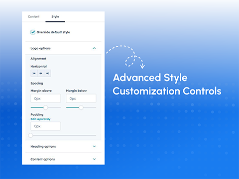 Advanced Style Customization Controls